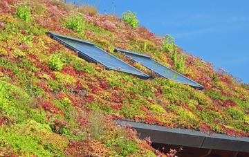 Holbury living roof systems