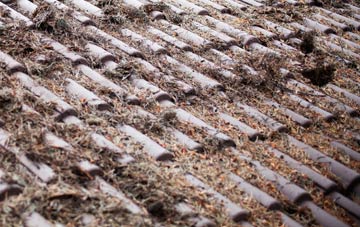 Holbury roof cleaning companies